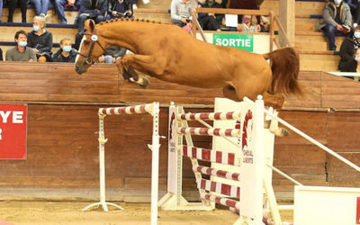 Une semaine à Fontainebleau